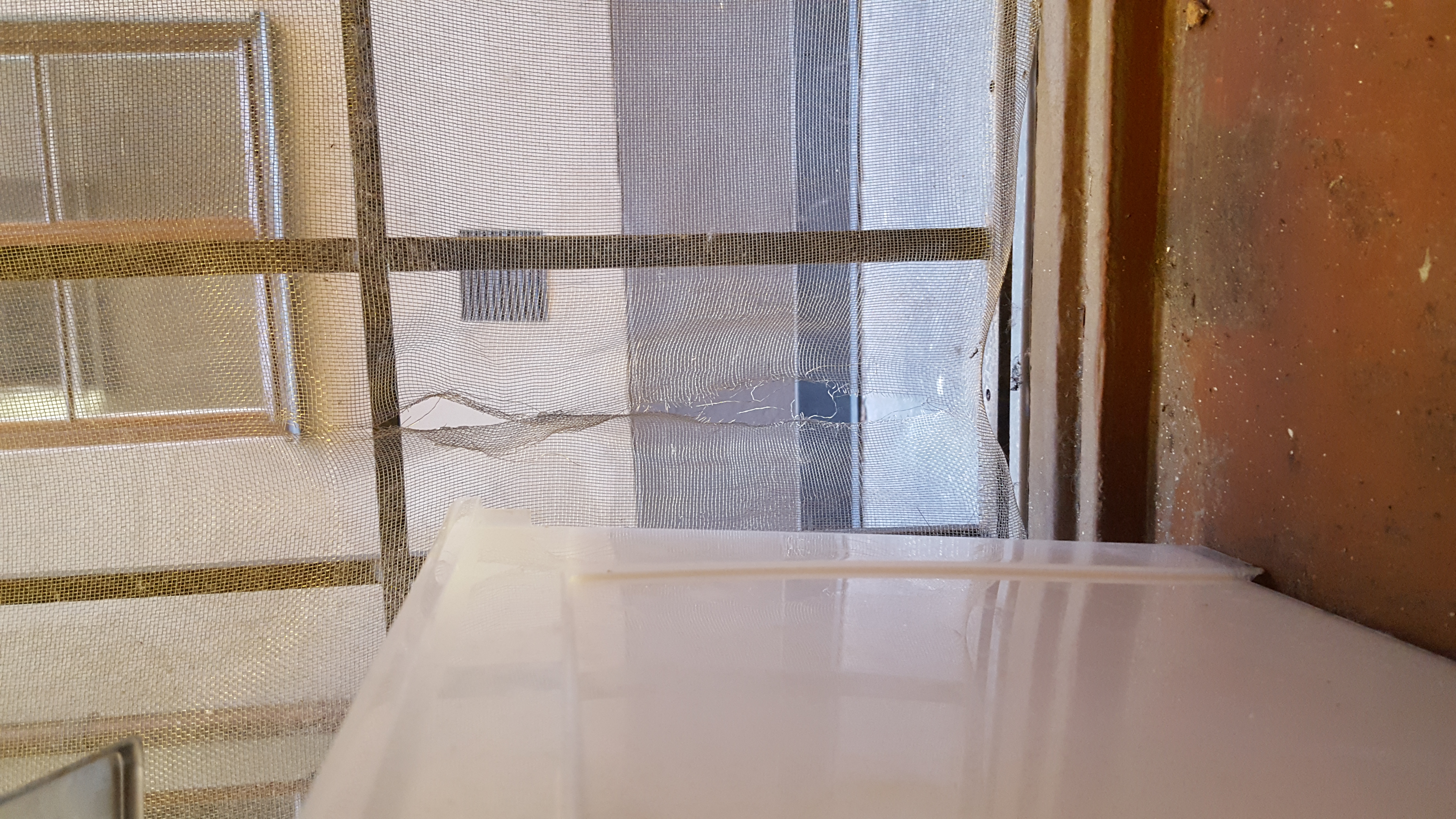 Cartons déchirés, bouteilles vides et déchets au sol derrière un restaurant